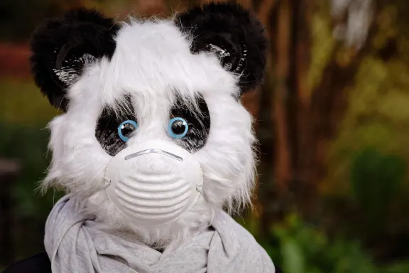 Kaszinó of Dreams Támogatás